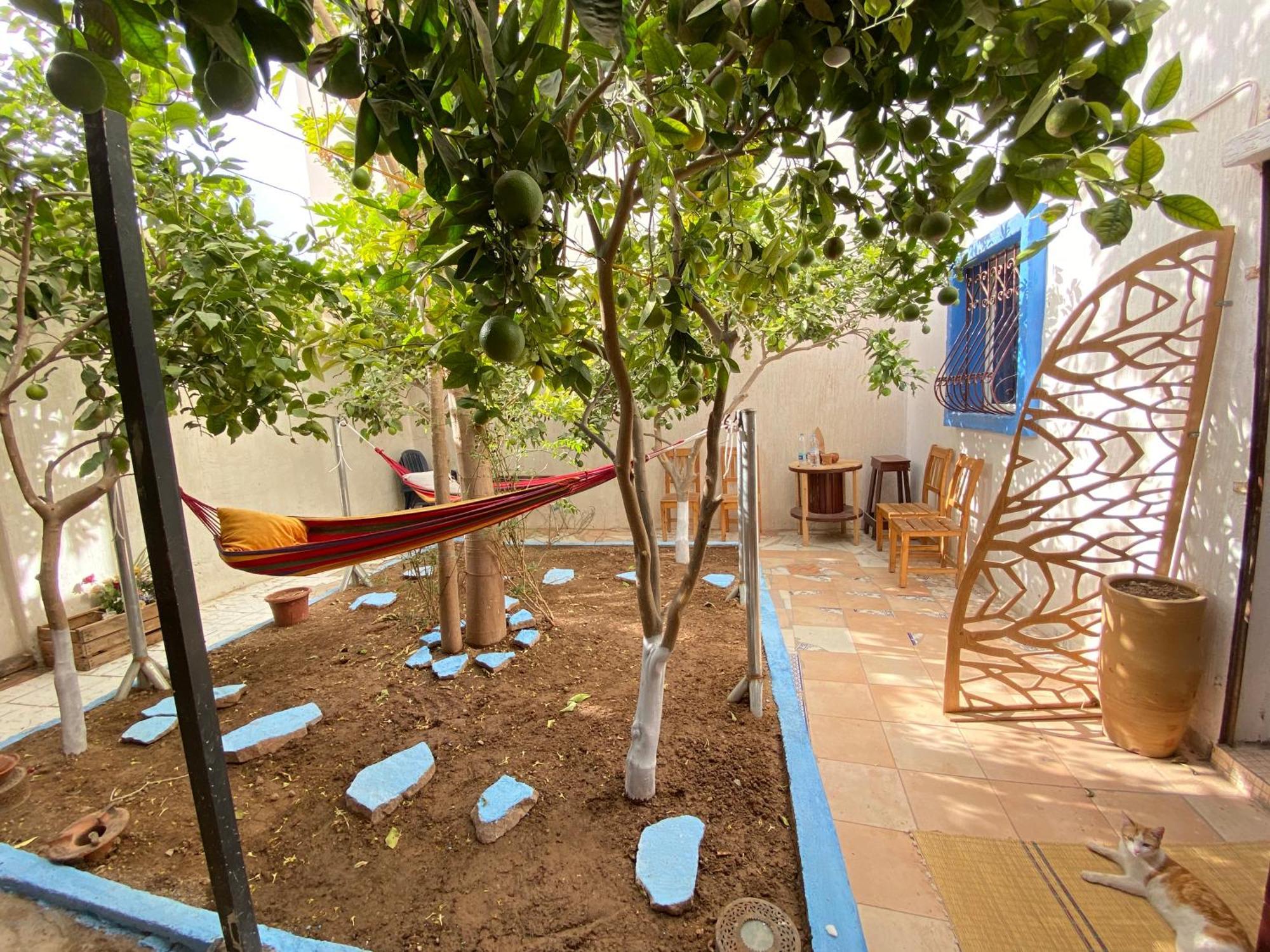 Hotel Red Carpet Surf Camp Sea, Mountain & Garden Escape Tamraght Exteriér fotografie